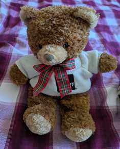 ford-bear