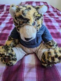 jaguar-bear